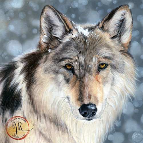 Enigma – Eurasian Wolf