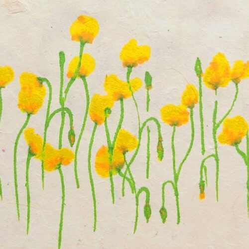 Yellow-Poppies-Summer-2020-2