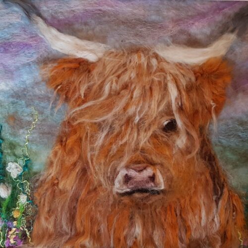 Highland-Cow